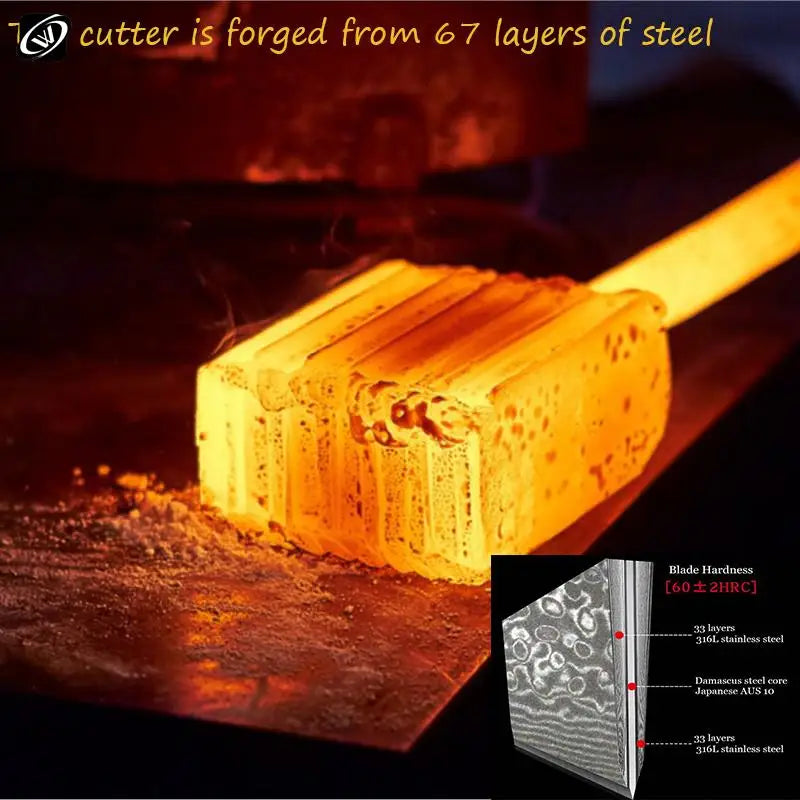 8 Inch Chef Knife 67 Layers VG10 Damascus Steel Kitchen Knives Stabilized Colored Wood Handle Professional Japanese Knife