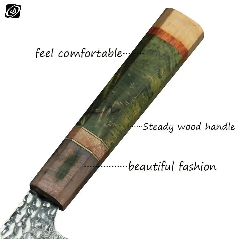 8 Inch Chef Knife 67 Layers VG10 Damascus Steel Kitchen Knives Stabilized Colored Wood Handle Professional Japanese Knife